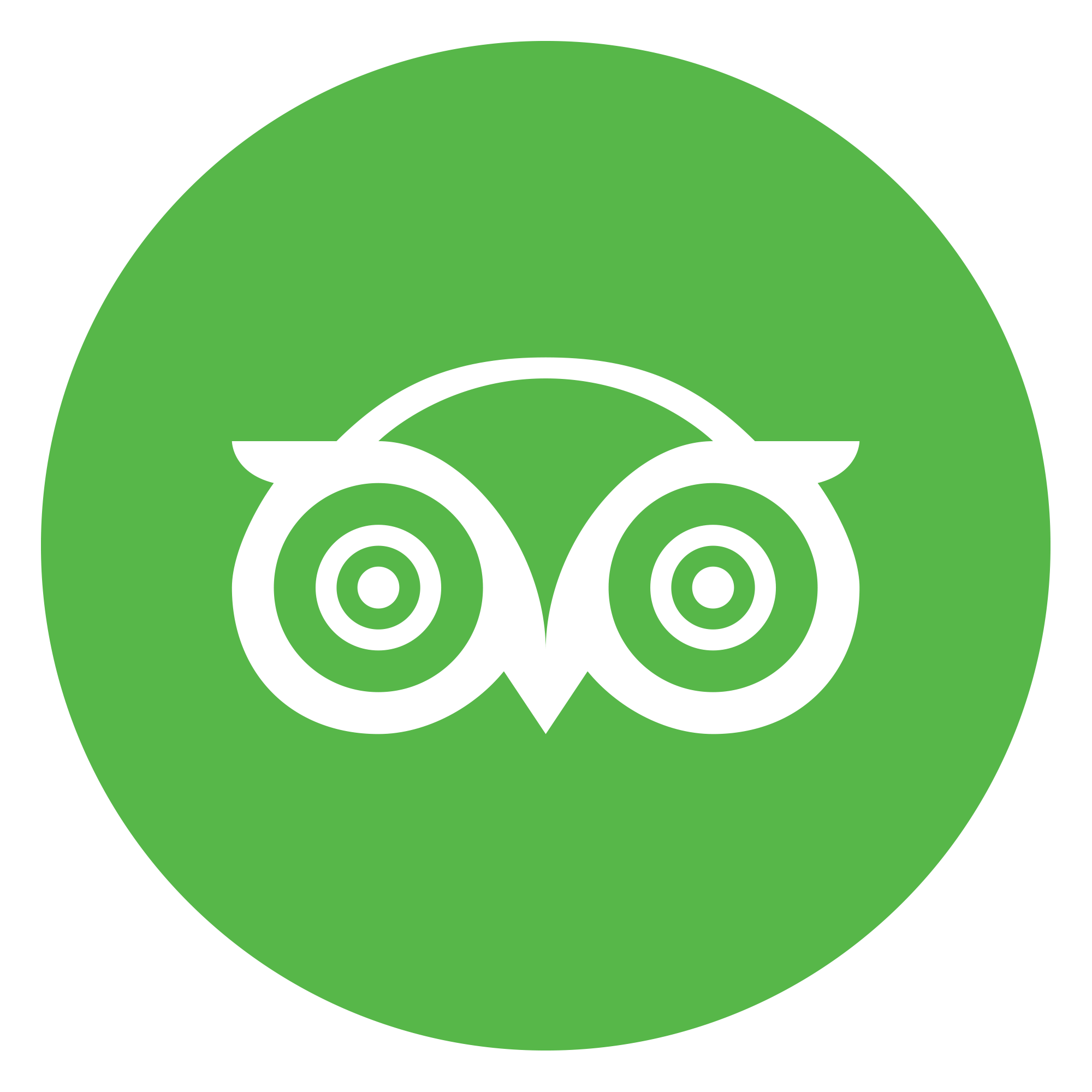 tripadvisor