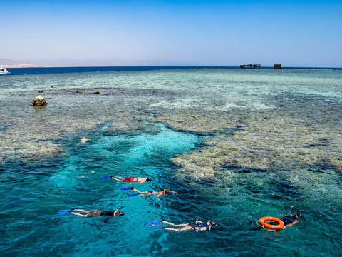 Snorkeling