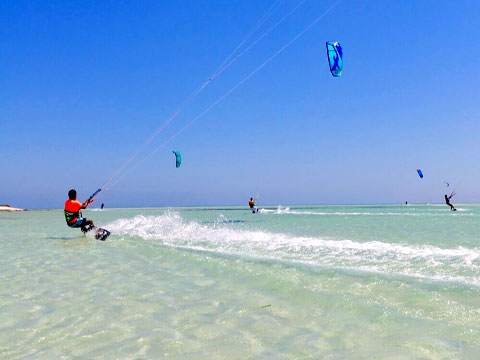 Water Activity